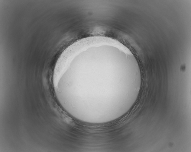 X0000116820370201001291627