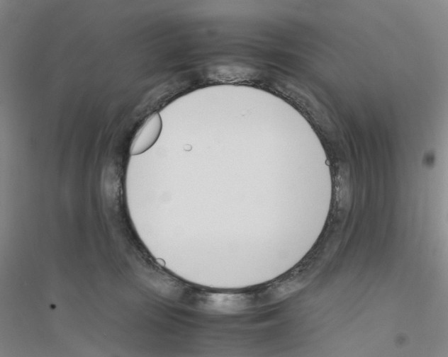 X0000116820371201001291627