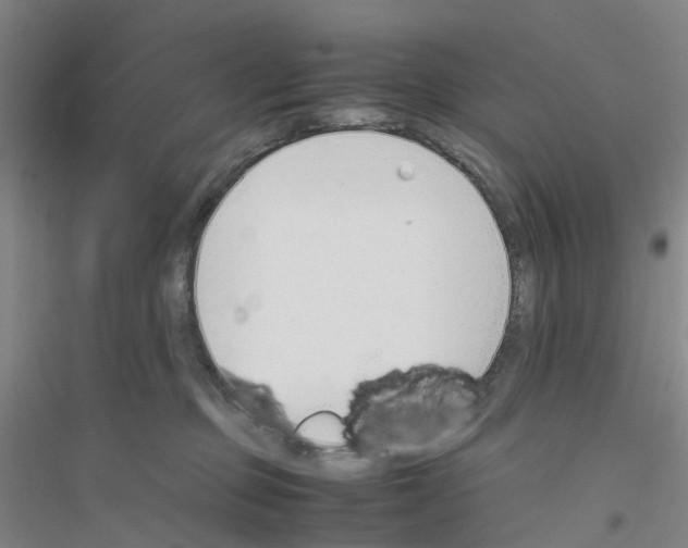 X0000116820373201001291627