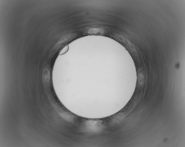 X0000116820375201001291627