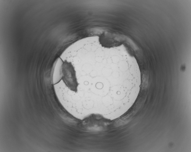 X0000116820377201001291627