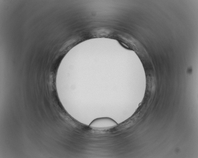 X0000116820378201001291627