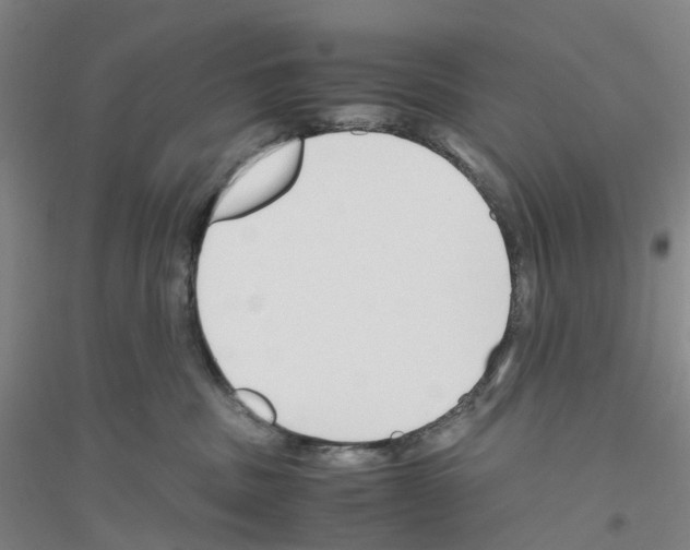 X0000116820379201001291627