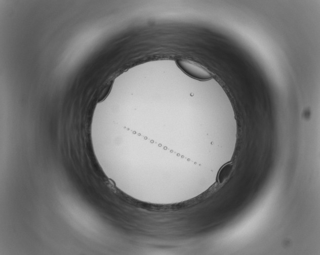 X0000116820382201001291627