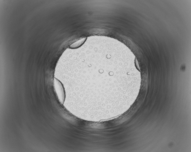 X0000116820383201001291627