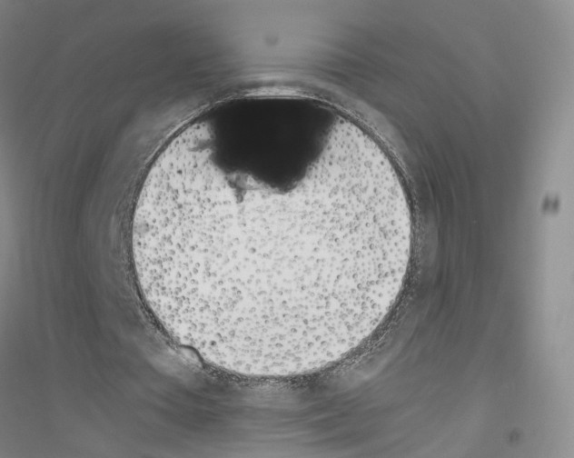 X0000116820385201001291627