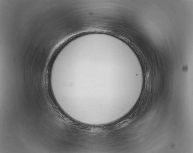 X0000116820388201001291626