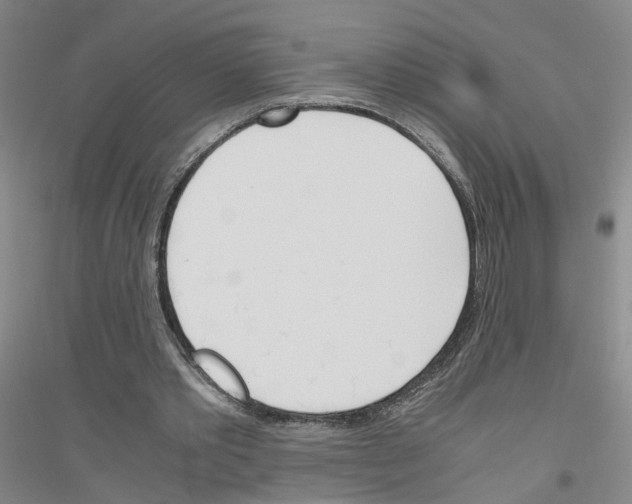 X0000116820389201001291626