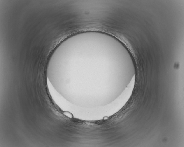 X0000116820393201001291626