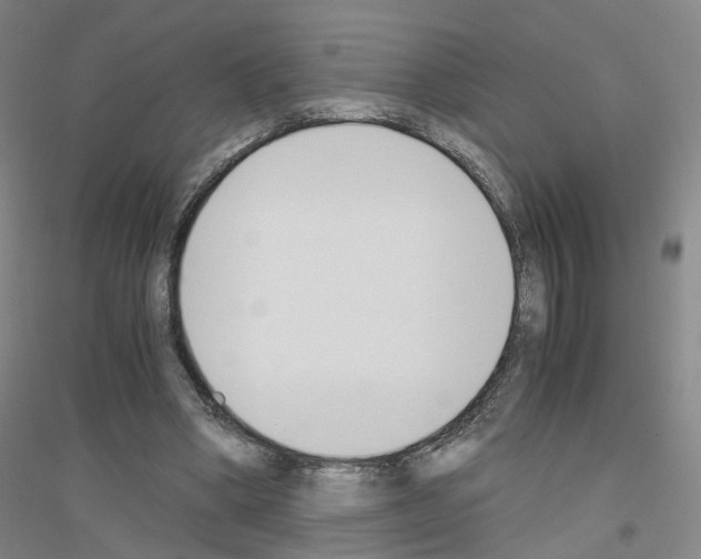 X0000116820394201001291626