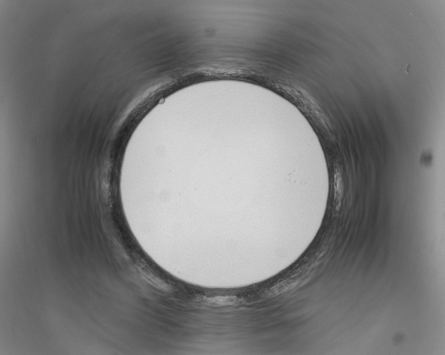 X0000116820396201001291626