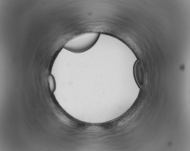 X0000116820397201001291626