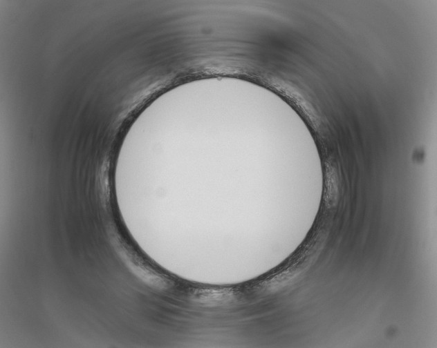 X0000116820398201001291626