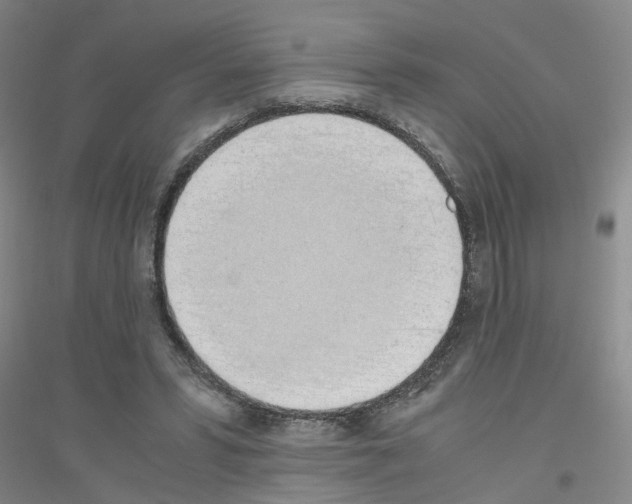 X0000116820399201001291626