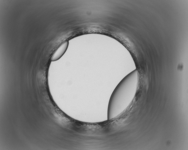 X0000116820401201001291626