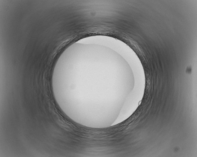 X0000116820403201001291626