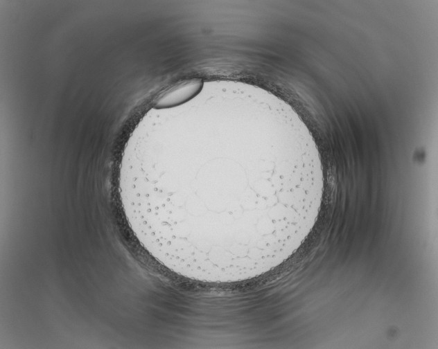 X0000116820404201001291626