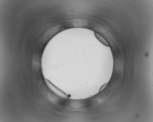 X0000116820405201001291626