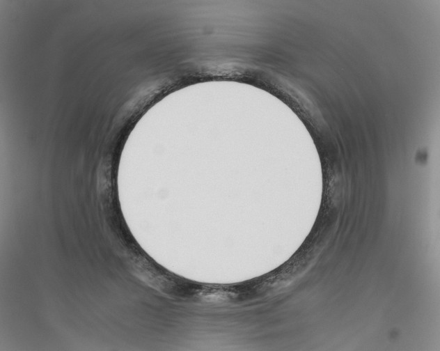 X0000116820407201001291626