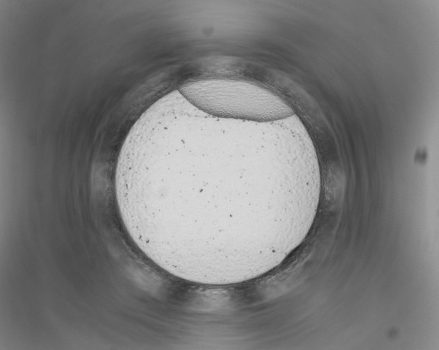 X0000116820409201001291626