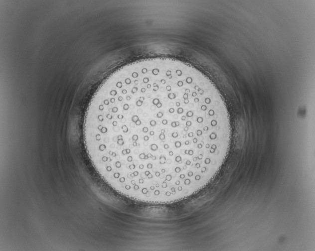 X0000116820410201001291626