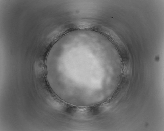 X0000116820411201001291626