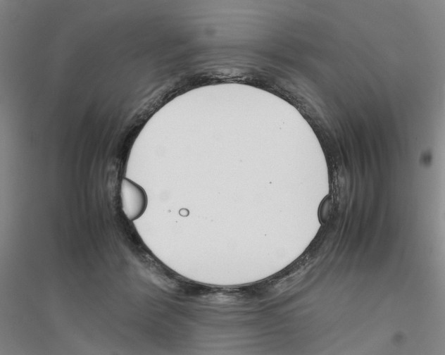 X0000116820412201001291626