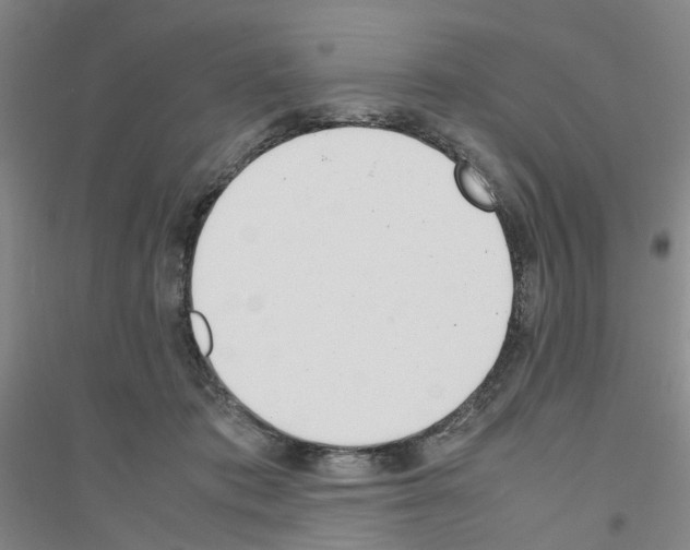 X0000116820413201001291626