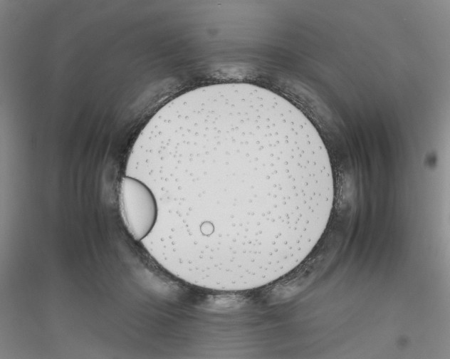 X0000116820414201001291626