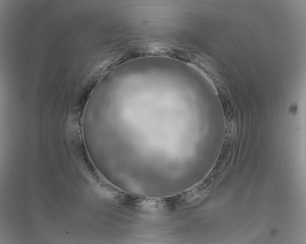 X0000116820415201001291626