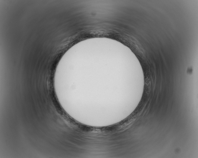 X0000116820416201001291626