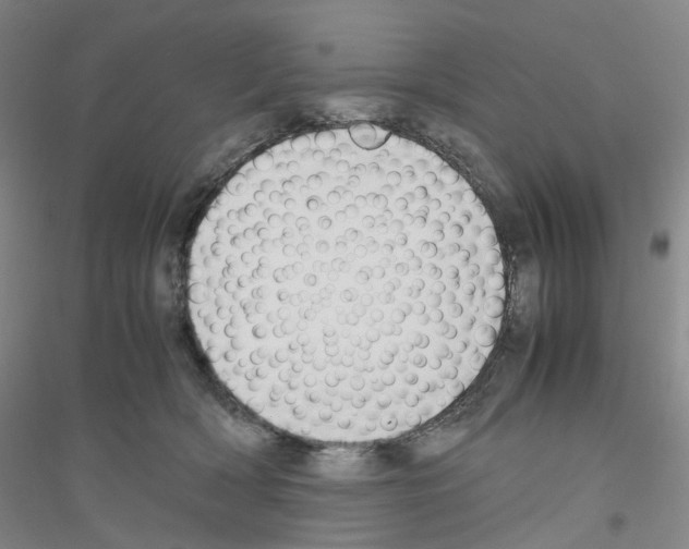 X0000116820418201001291626