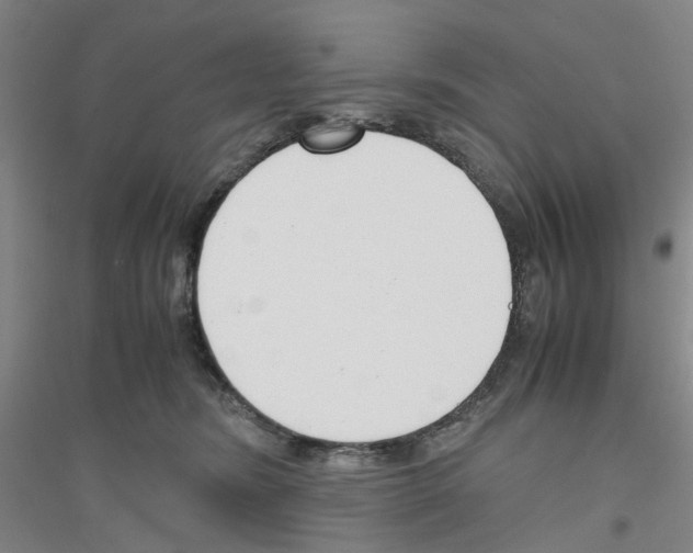 X0000116820420201001291626