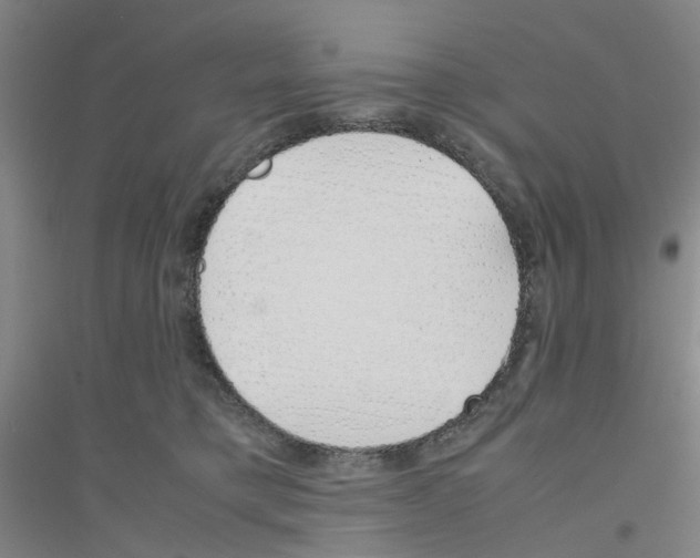 X0000116820421201001291626