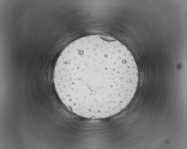 X0000116820428201001291626