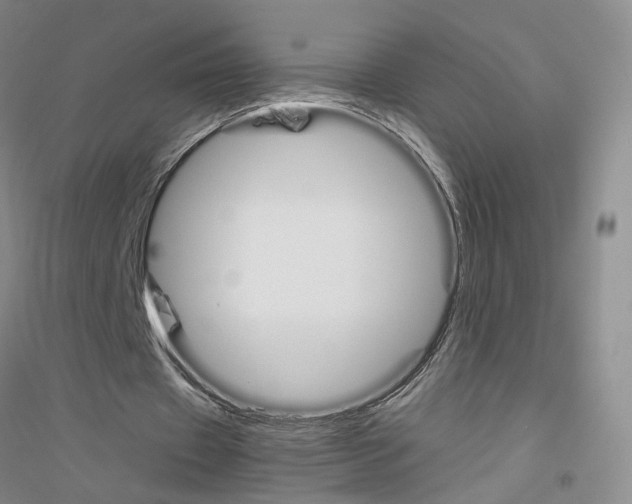 X0000116820433201001291625