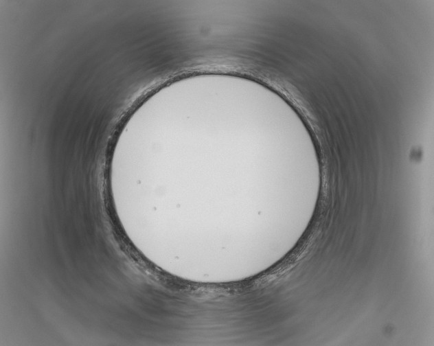 X0000116820434201001291625