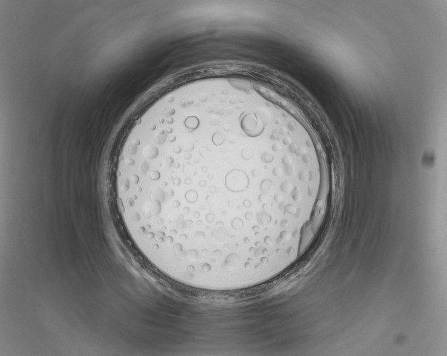 X0000116820435201001291625