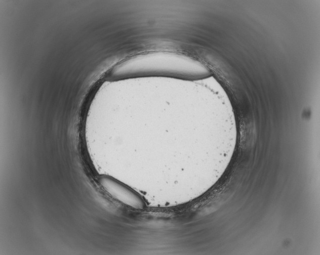 X0000116820436201001291625