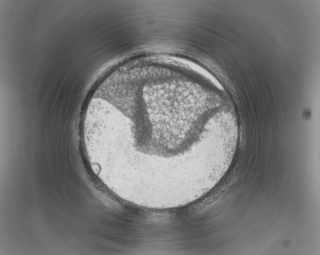 X0000116820438201001291625