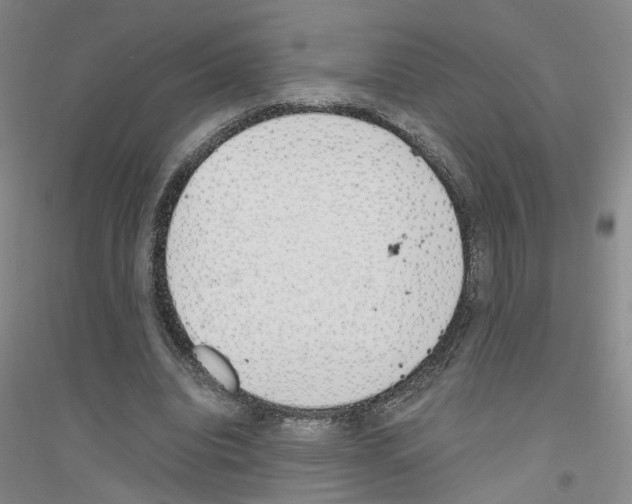 X0000116820440201001291625