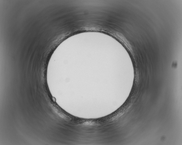 X0000116820441201001291625