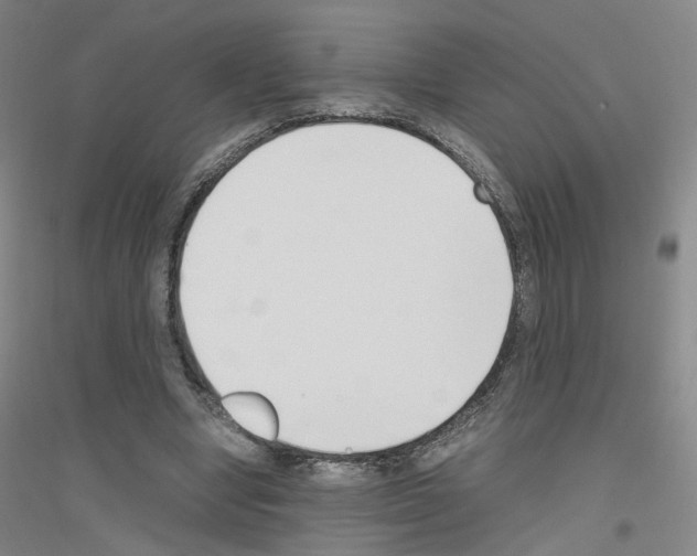 X0000116820442201001291625