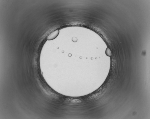 X0000116820443201001291625