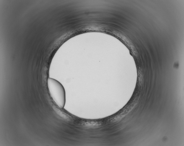 X0000116820445201001291625