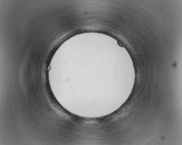 X0000116820446201001291625