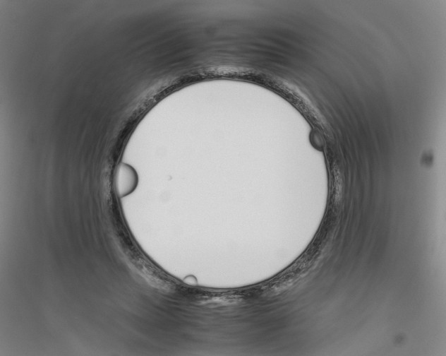 X0000116820447201001291625