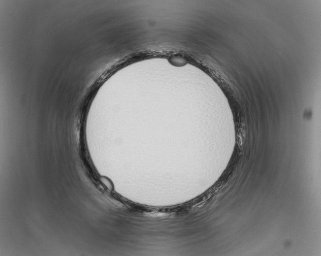 X0000116820448201001291625