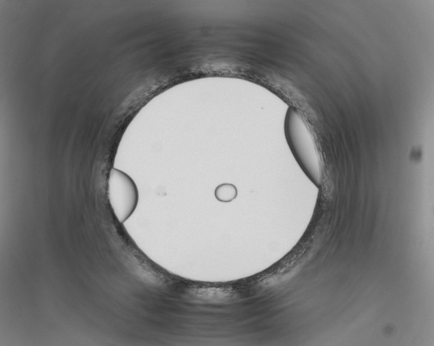 X0000116820449201001291625