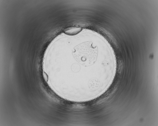 X0000116820451201001291625